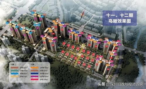 惠州博罗县爆料案件最新,真相揭秘,疑云重重! 第2张 惠州博罗县爆料案件最新,真相揭秘,疑云重重! 第2张